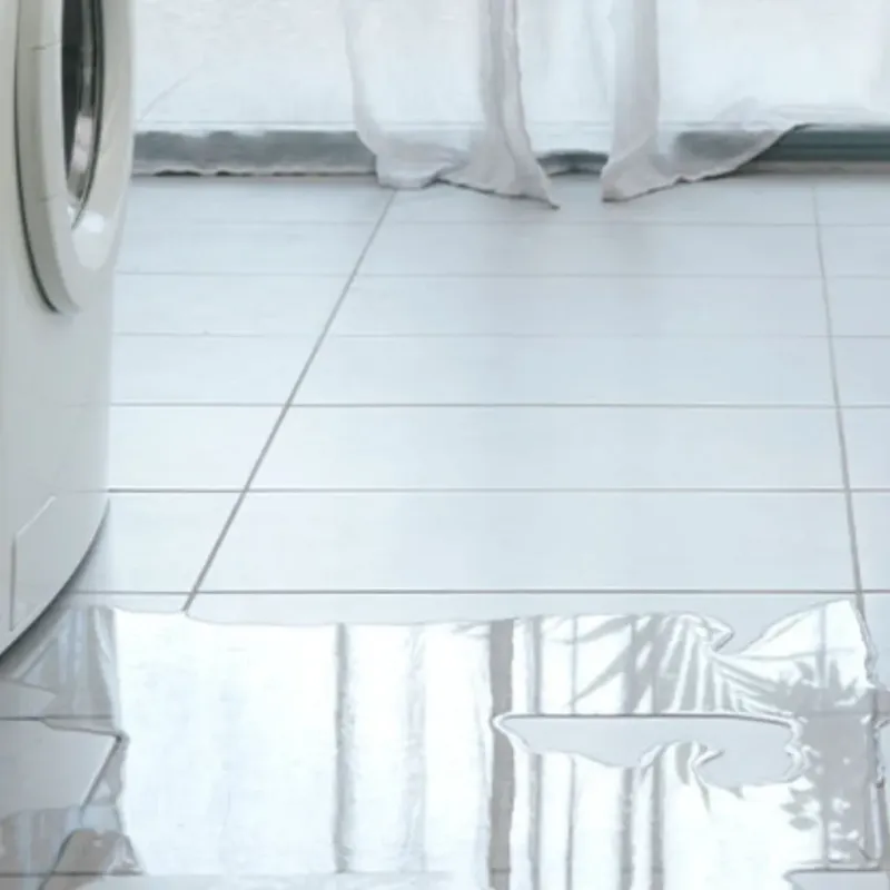 Appliance Leak Cleanup in Carroll County, MS