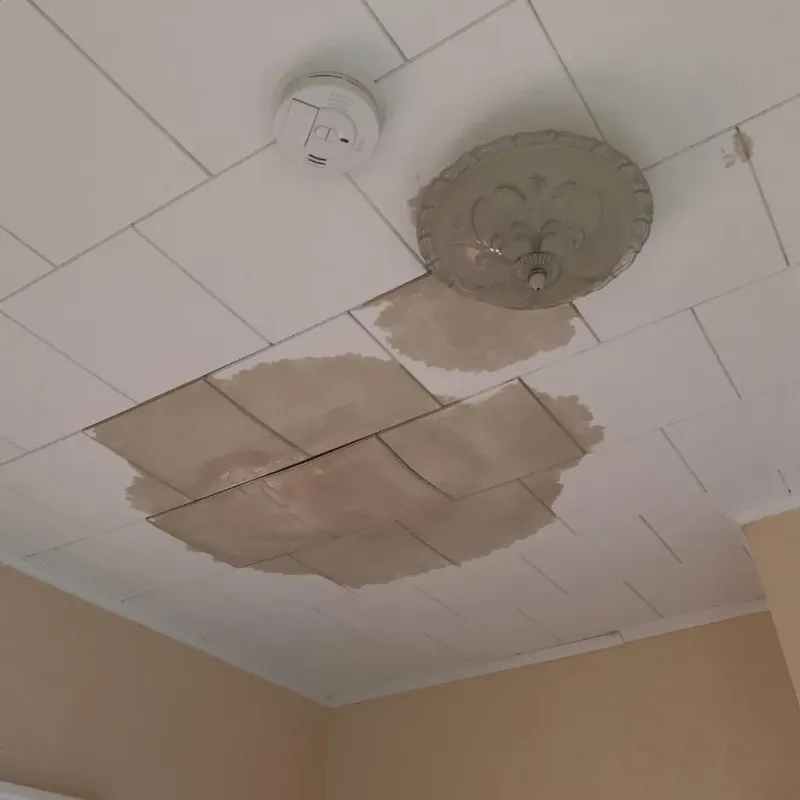 Ceiling Water Damage Repair in Carroll County, MS