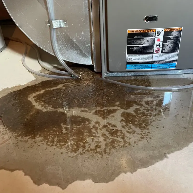 Pipe Burst and Leak Restoration in Carroll County, MS